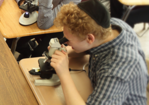 Copy-of-Microscope